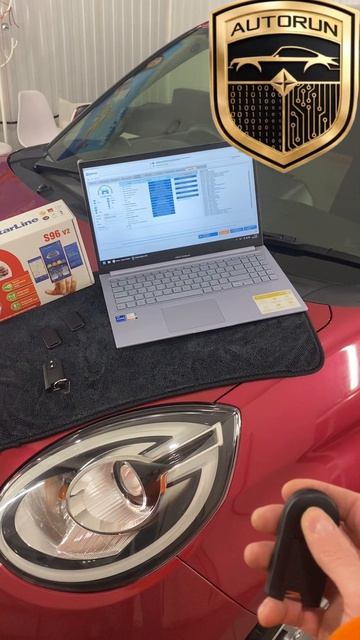 Toyota Passo 2021 + Starline