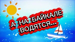 А на Байкале водятся...Посмотри и улыбнись.