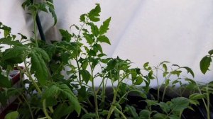 Утепляюсь))) Для чего?)))