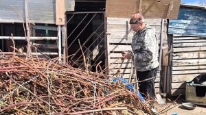 Сварила сыр. Наводим порядок. Подкормки для пчёл. Покупка с озон.