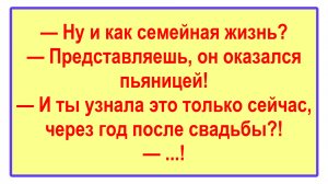 - Ну и как семейная жизнь? Подборка Пикантных, Остреньких, Жизненных Анекдотов! Юмор! Смех! Позитив!