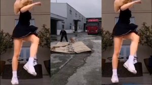 Четвероногий помощник