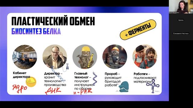 Пластический и энергетический обмен (сб 11-30)