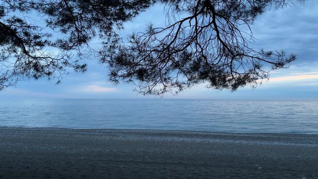 Дельфины у берега в Пицунде. релакс-видео под шум моря