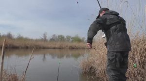 Рыбалка. Карась дуреет в камышах. Безумная рыбалка на карася