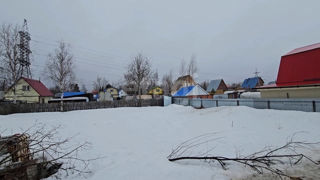 12389155 Хвойный