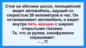 Полицейский на обочине! Подборка Пикантных, Остреньких, Жизненных Анекдотов! Юмор! Смех! Позитив!