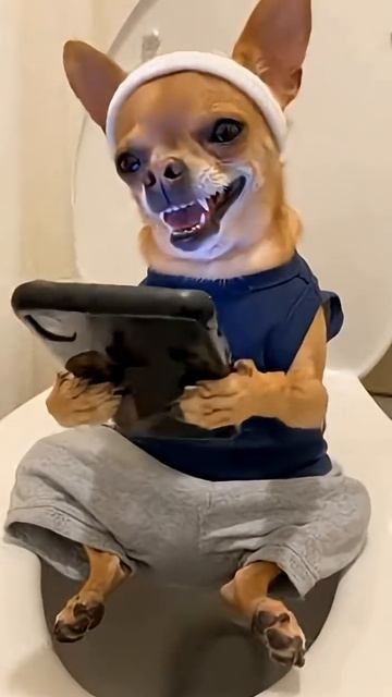 🚽Он смотрел шортсы, пока его бро боролся за жизнь💩