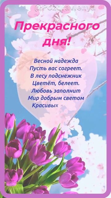 Прерасного дня!