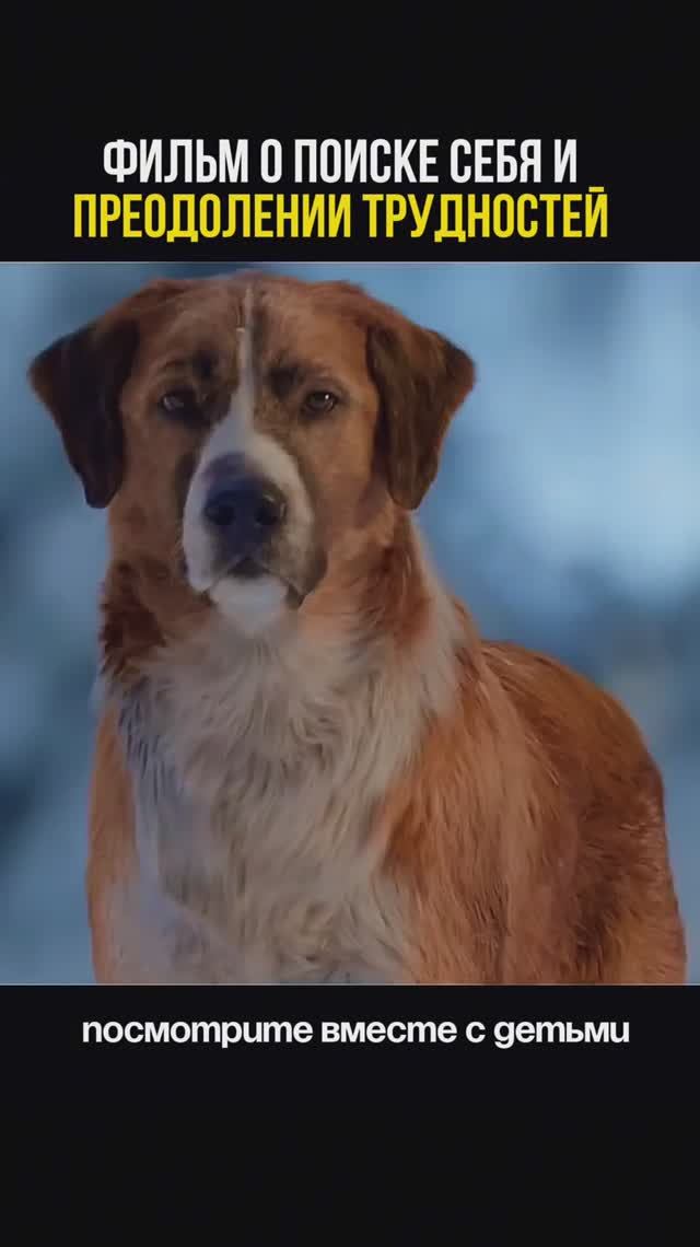 «Зов предков». (2020) 8+ #смотримвместесдетьми#фильмыдлядетей#