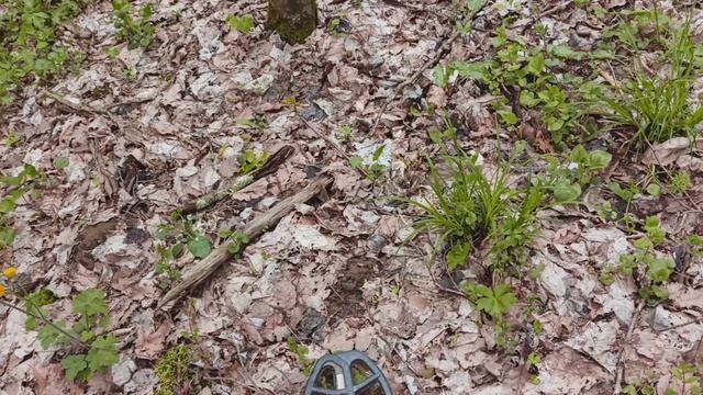 Тихая охота:результат есть.