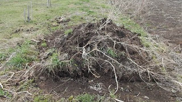 Мои компосты, ветер не слышно