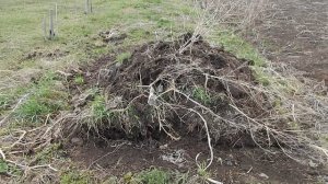 Мои компосты, ветер не слышно