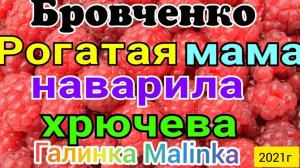 Семья Бровченко _Рогатая мама наварила хрючева_Обзор Влогов _