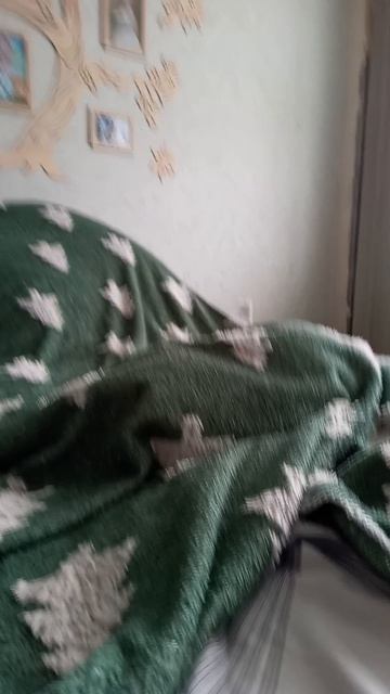 нашла Яшу голодника под одеялом