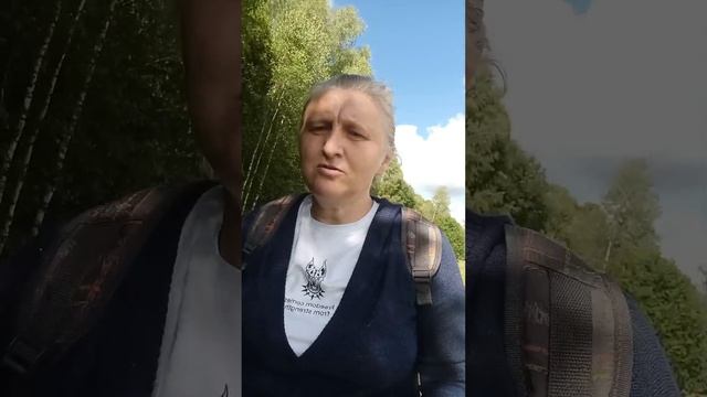 Шевардинская коробочка в дупле