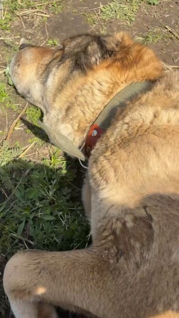 Привет из дома от нашей Ксюши