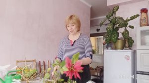 Челлендж "Расскажи про детство" под домашние хлопоты