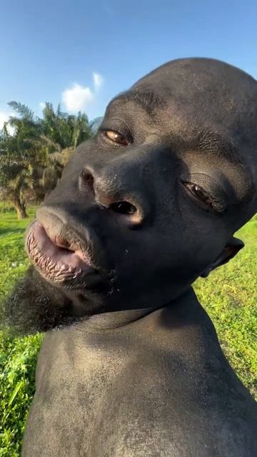 🤣😂🤣😅🤣😂