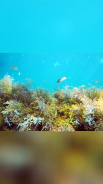 Лучшие экскурсии и развлечения в Анапе!