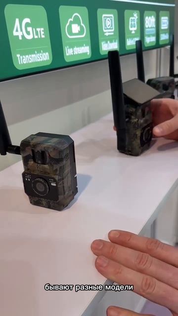 Ищете камеру для наблюдения в лесу или на природе? 🌲📷