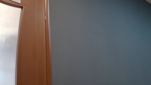 Прямой эфир Майн онлайн