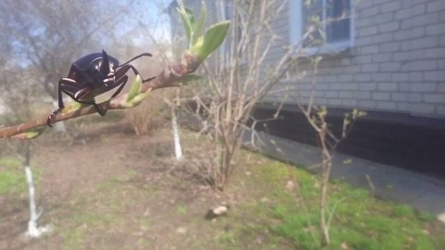 3eedf1b303f11f1b1031ee5b0e01f53