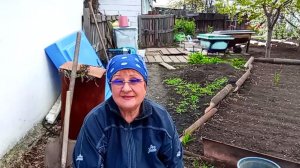 Что то пошло не так...огородные дела ...