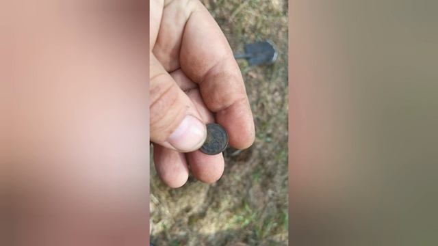 Красивый лес, немного серебра...