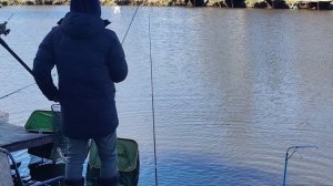 Светлые Горы Форель2 25.04.2026г.