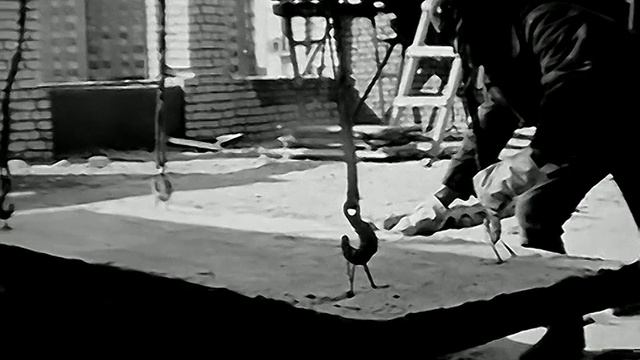 1979 год. Тюмень. Строительство школы