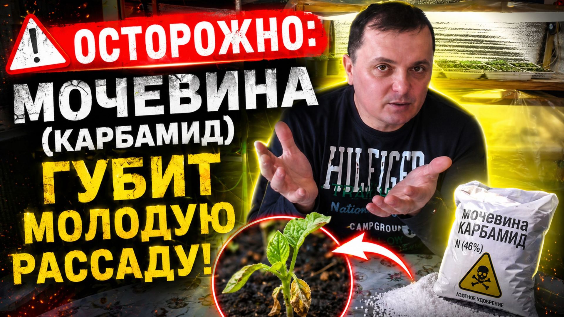 Какое удобрение губит рассаду томатов и перцев (и чем его заменить).