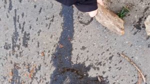 солдат помешал нам