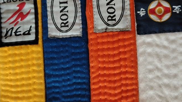 Мои достижения в каратэ кюкушинкай