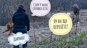 Аня докопалась до лося Степана, закидала его хлебом и подставила пёсика Кубика. Не делайте как Аня!