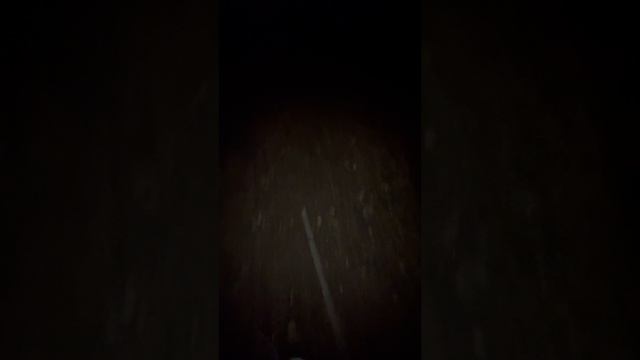 Северская #2