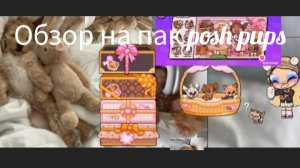 𐌺уᥰᥙ᧘ᥲ ᥰᥲκ ᥴ ᥴ᧐δᥲчκᥲʍᥙ🥹 ᧐δɜ᧐ρ нᥲ ᥰᥲκ posh pups🐻❄️🐶