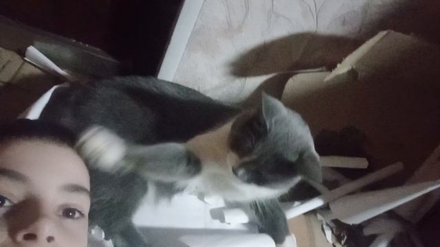 Вечер 1 дырка во лбу, тыгыдыка пока нет