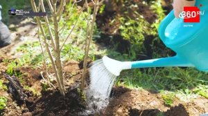 Наводим чистоту.