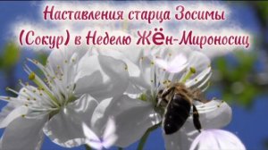 Наставления старца Зосимы (Сокур) в Неделю Жëн-Мироносиц