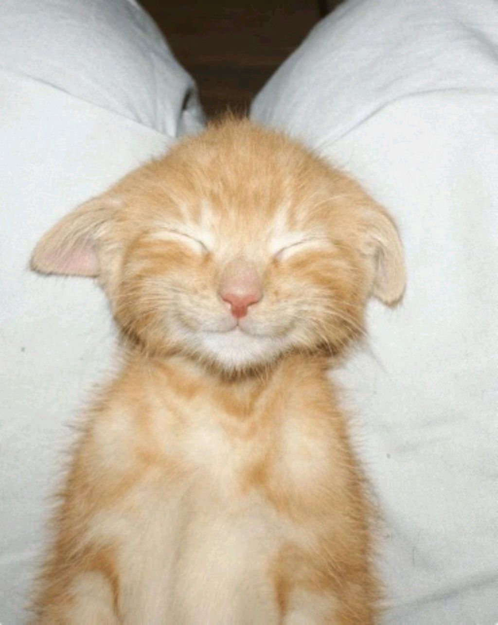 НЯНЯНЯНЯНЯНЯНЯНЯНЯНЯНЯННЯННЯНЯНЯНЯНЯННЯНЯНЯНЯНЯНЯНЯНЯНЯНЯНЯНЯНЯНЯННЯЯНЯНЯННЯНЯНЯНЯНЯНЯНЯНЯНЯНЯНЯНЯНЯ