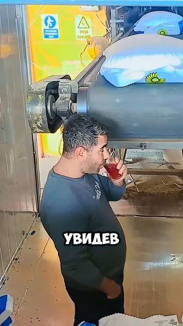 #лучшийработник #работаначилле #rutube