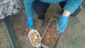 НА ДАЧЕ 24.04.2026