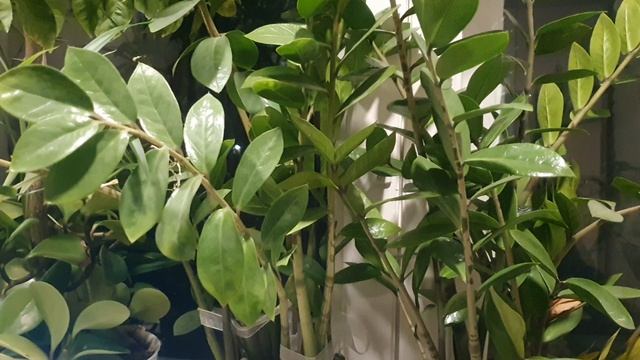 Размышления пред Чертой...