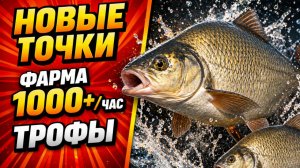 🤑 НОВЫЕ ТОЧКИ для ФАРМА РР4! МЕДНОЕ • КУОРИ • Фарм Серебра в Русской Рыбалке 4