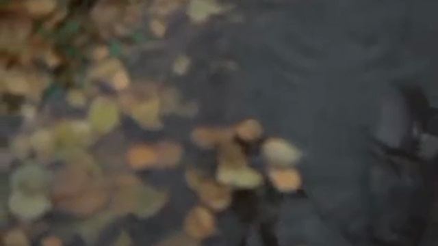 Музыка из фильма Служебный роман