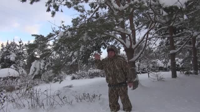 С Новым 2025 годом!