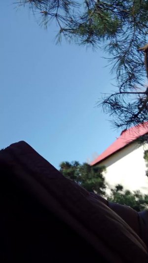 идём к новой