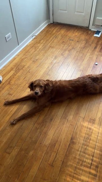 Эффект кубика льда