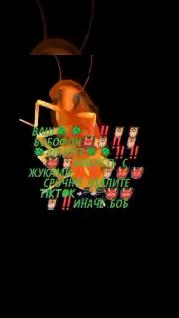 БОБОФОН атакует бещасть с жуками